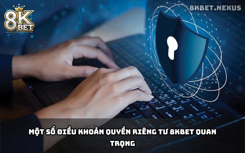 Dữ liệu người dùng được thu thập tại 8KBET